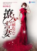 婚色撩人免费全文