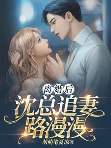 总裁他追妻上头了