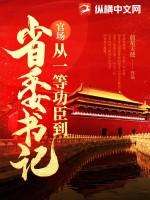 官场从一等功臣到省委书记大结局