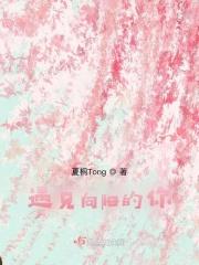 遇见阳光歌词