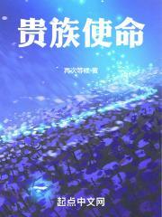 贵族使命作者的其他作品