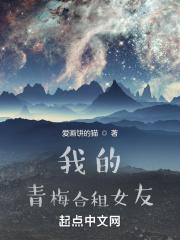 我的合租女友小游戏