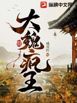 大魏疯王六皇子凌宁TXT