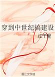 穿到中世纪搞建设笔趣阁