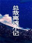 总裁离魂小记剧透