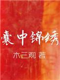 囊中锦绣有车吗