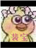 裴宝by池总渣剧情讲解