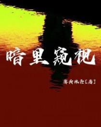 暗中窥伺