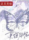 夏夜偏航在线阅读