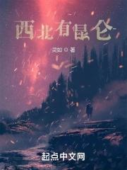 西北昆仑投资公司总经理桌总