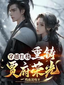 红楼穿越贾政