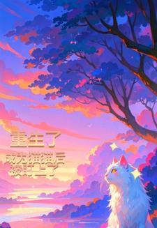 重生成猫咪的文