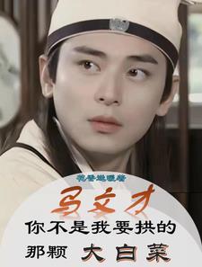 马文才为主角的