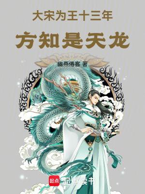 大宋为王十三年方知是天龙笔趣阁免费阅读