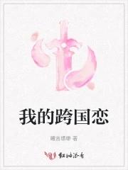 我的跨国恋奔现