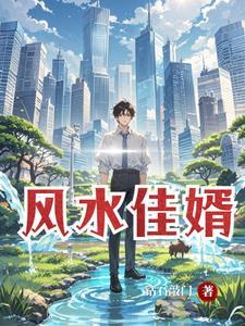 国女婿风水师