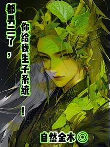 穿越生子系统
