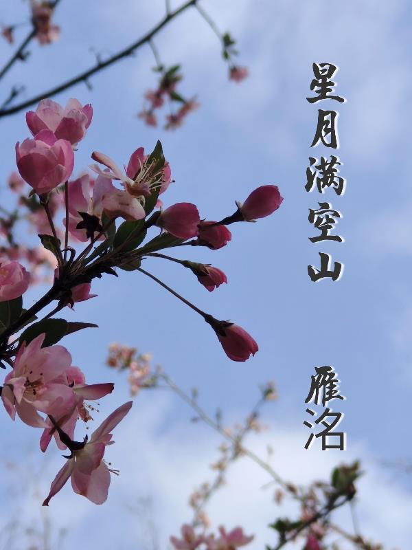 星月长空