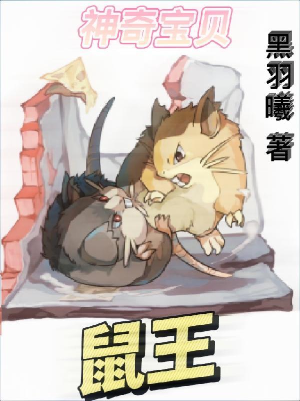 神奇宝贝中的老鼠