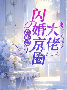 闪婚京圈大佬无删减