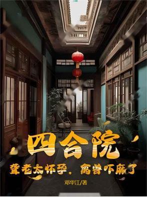 四合院孤独老太太和北漂学生