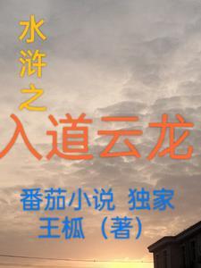水浒传中入云龙指的是谁