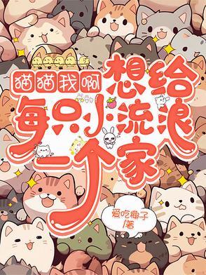 猫猫我啊想给每只小流浪一个家中狮子的结局