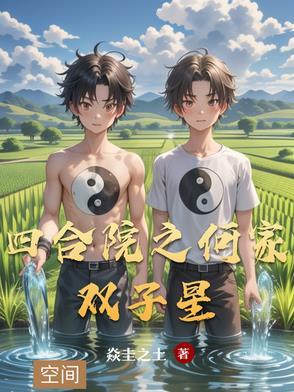 四合院之何家双子星免费完整版