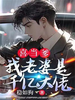 喜当爹我老婆是千亿大佬稳如狗丶 著