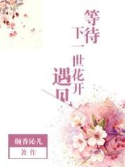 等待下一朵花开是什么歌