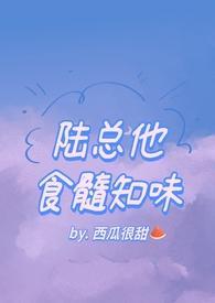 陆总他食髓知味西瓜很甜完结
