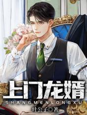 上门龙婿叶辰萧初然完结版免费阅读2750章无弹窗