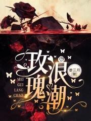 玫瑰潮图