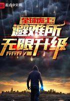 全球废土避难所无限升级TXT精编版