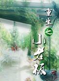 重生之小老板江洋沈雨荷